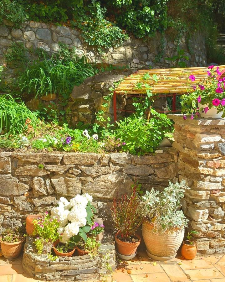 Maison Do Mi Sol Reynès Dış mekan fotoğraf