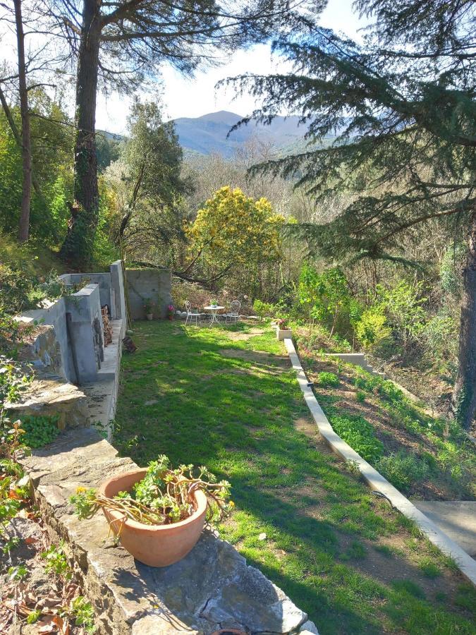 Maison Do Mi Sol Reynès Dış mekan fotoğraf