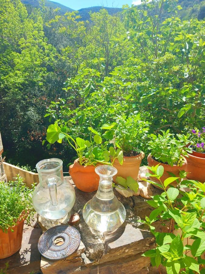 Maison Do Mi Sol Reynès Dış mekan fotoğraf